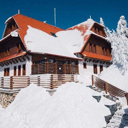 Madarasi Gyopár Panzió Bed and Breakfast Izvoare  Esterno foto