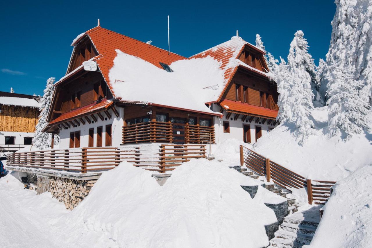 Madarasi Gyopár Panzió Bed and Breakfast Izvoare  Esterno foto