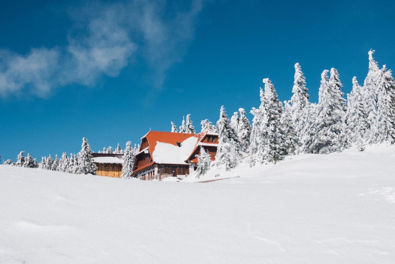 Madarasi Gyopár Panzió Bed and Breakfast Izvoare  Esterno foto